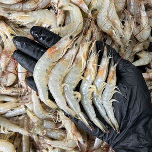 [국내산] 여수 특품 싱싱 중하새우, 1박스, 2kg 200미