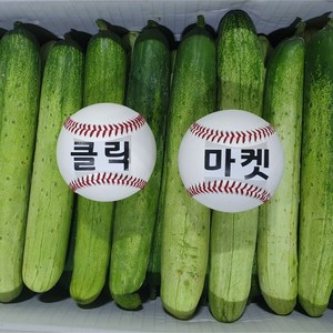 클릭마켓 백 다다기 오이 오이지 10kg, 1개