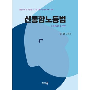 2024 신통합노동법:공인노무사 노동법 1 2차 시험 외 국가고시 대비, 새흐름, 2024 신통합노동법, 김영(저)