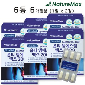 [파니몰]미국산 옵티 MSM 엠에스엠 맥스 2000 무릎 관절 연골 비타민D 영양제, 6통(6개월)