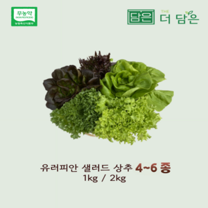 [친환경 무농약] 유럽 샐러드 상추 야채 4~6종 1kg 2kg 로메인 버터헤드 쌈채소 유러피안 샐러드 스마트팜 수경재배 채소, 혼합, 1개