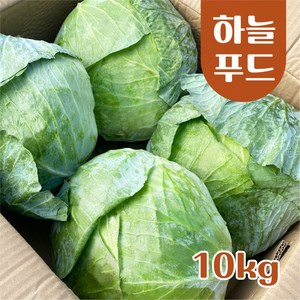 (10kg/Box) 수입 양배추 식자재 [원산지:중국], 1개, 10kg