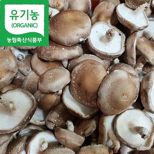 [해담은농장] 유기농 생표고버섯 1kg, 1개, 파지1kg