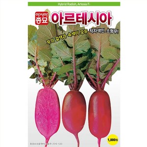 아시아종묘 씨앗 알타리무 아르테시아 1000립, 1개