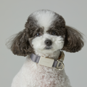 [773PAW 워킹버디 넥카라] 강아지 산책용 목줄, 10.멜란지 그레이, 1개