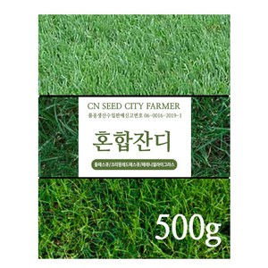 잔디씨앗 서양잔디씨 양잔듸 골프장 정원 공원용 500g, 혼합잔디 500g, 1개