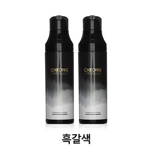 청담스타일 포레스트 블랙체인지 샴푸, 200ml, 2개