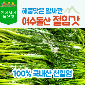 [진여사네돌산갓] 여수 돌산갓 절임갓 5kg 10kg 산지직송 갓김치 갓물김치 김장김치 대량주문, 절임갓 10kg, 1개