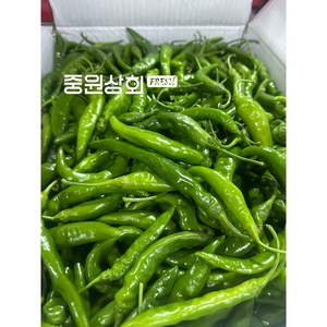 청양고추 10kg 매운고추 식자재 업소용, 청양고추(상) 못난이 10kg, 1개