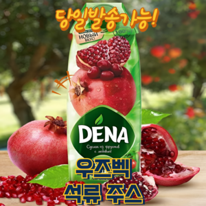 데나 천연 석류 주스 과즙100% 함유 DENA POMEGRANATE JUICE EXPERT, 1개, 1L