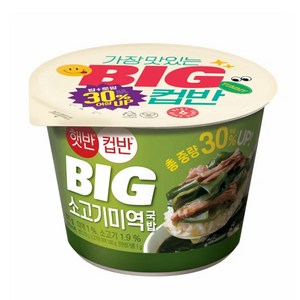 CJ제일제당 컵밥 컵반 BIG 소고기미역국밥 311G, 1개