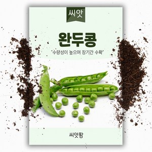 씨앗팜 완두콩 씨앗 (40g) 스파클 완두콩 씨 종자, 06.스파클완두콩40g, 1개