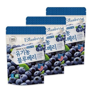 [호재준] 냉동유기농블루베리(미국산) 500g, 3개