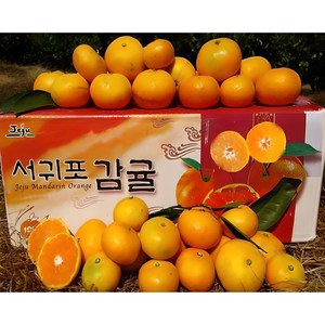 황금농원 서귀포 고당도 조생 귤 첫출하, 5kg[로얄소과(2S-M)], 1박스