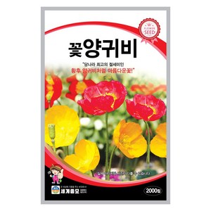 꽃양귀비 씨앗 꽃씨 2000립 꽃씨앗 세계종묘 모칸도, 1개