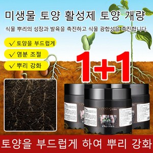 1+1토양활성화제 개량제 수용비 송토정화비 풀빅산칼륨 미생물활성화 보광원, B품[분말은 물에 녹음]&스푼 1개, 200g, 2개