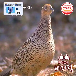 (배터짐) 보신용 (게사니) 거위고기 2.5kg~3kg내외 마라 토끼고기 꿩고기 (장끼) 오골계 토종닭 모음, 700g, 1개, 꿩고기700g 이상(까투리)