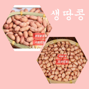 [신중국식품]생땅콩 중국산생땅콩큰알(대) 성화성 생땅콩중(바이싸), 1kg, 1개