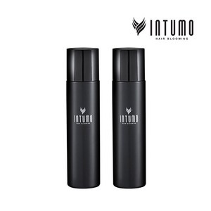 인투모 흑채 고정 파인 픽서 80ml, 2개