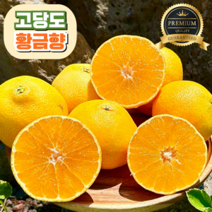 [고당도] 황금향 15brix 제주 산지직송, 1개, 가정용 5kg