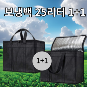 투스롱 보냉가방 1+1 대용량 25리터 가벼운 심플, 블랙+그레이, 2개