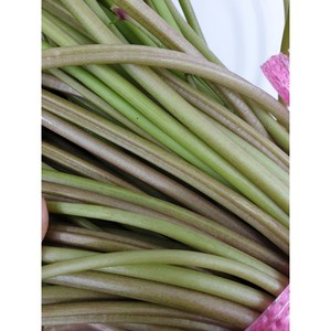 [달고 맛있는] 생 고구마순 고구마줄기, 2kg, 1개