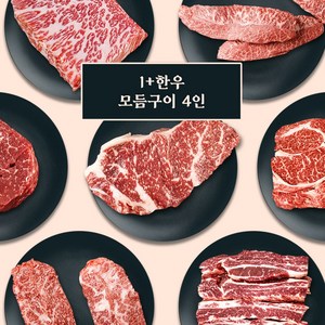 1+등급 한우 모듬구이 한판 4인 (등심/채끝/부채살/업진살/갈비살/안심), [옵션01] 4인세트 1kg_옵션별 상이, 1개