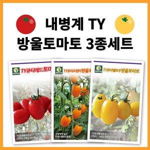 [주주씨앗] YT내병계 대추 방울토마토씨앗 3종세트 (오렌지 옐로 레드) 주황 빨강 노랑대추방울토마토 씨 채소씨앗, 1개