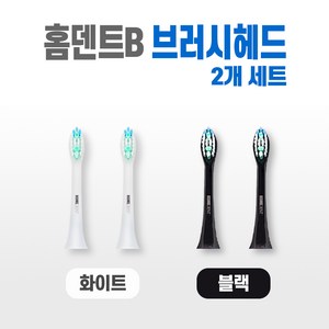 비티일렉스 홈덴트B 음파 전동 칫솔, 브러시헤드(칫솔모)2개세트(화이트)