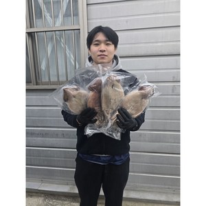 정만농수산 30년 오징어 외길인생 명인 포항 정품 반건조오징어, 2개, 5마리 600g