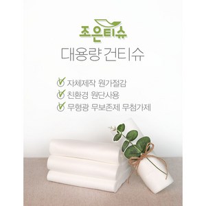 건티슈 2.5kg 5kg 대용량 플레인 건티슈 청소포 소독 행주 걸레 소독티슈 요양원 항균티슈, 1매입, 1개