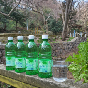 울릉도 우산고로쇠, 500ml, 12개