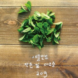 [논밭허브] 유기농 애플민트 생잎 작은 잎 20g/데코용 애플코리아할인