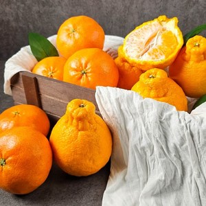 이맛애 제주 한라봉 레드향 가정용 선물용, 한라봉 선물용, 1개, 2kg