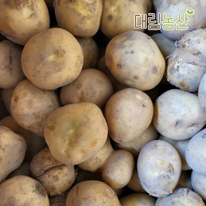 (대림농산) 24년 햇감자 못난이감자 2kg 3kg 5kg 10kg 20kg, 1개, 저장감자(특)