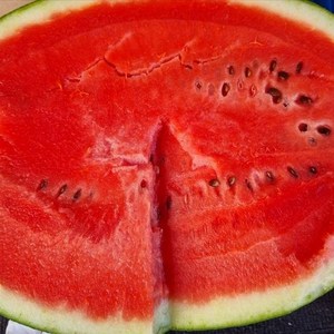 [고당도 보장] 국내산 정품 수박 14bix 수준 고당도 명품 꿀수박 못난이 수박, 1개, 수박 5kg 이상