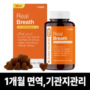 펫생각 리얼 브레스 반려견 강아지 기관지 영양제 협착증 기침 면역력 호흡기 켁켁거림 거위소리 66g, 1박스