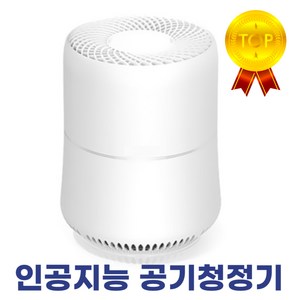 [99.9%차단] 에이티엘 인공지능 펫케어 초미세먼지 공기청정기, 1+1총2개