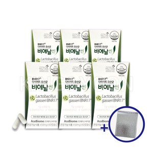 [BNR17] 다이어트 유산균 비에날씬 김희선 홈쇼핑 유산균 정품 +보냉백, 6박스, 60캡슐