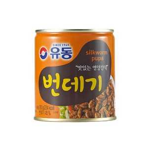 유동 [유동] 번데기 280g x6개, 6개