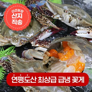 연평도 제철 최상급 급냉 냉동 꽃게, 7.연평도 급냉 알배기암꽃게 중 1kg(4~6미), 1개