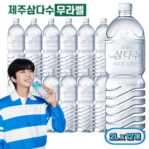 (100% 무라벨) 제주삼다수 2리터, 12개, 2L