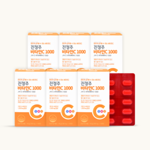 진정주 비타C1000 1100mg, 100정, 6개