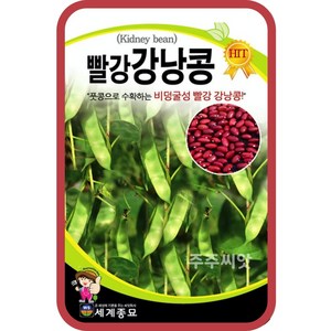 주주씨앗 빨강강낭콩 30g 콩씨앗 종자 비덩쿨성 풋콩 토종재래종, 1개