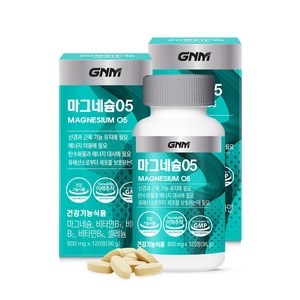 GNM자연의품격 마그네슘 05, 120정, 2개