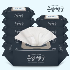 온양행궁 물티슈 로열 70매 10팩, 10개, 70개입