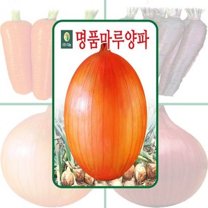 다농 명품마루 양파 100g 채소 종자, 1개
