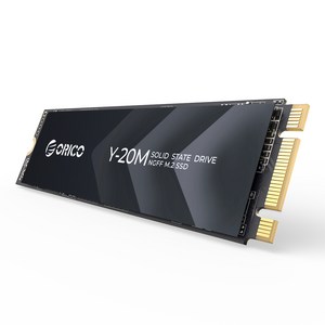 오리코 M.2 SATAIII PCIE NGFF 프로토콜 SSD Y20M, 256GB