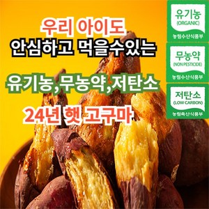 [믿고먹는유기농] 친환경 무안 유기농 베니하루카 꿀고구마 퍽퍽한 밤 호박 고구마 3kg 5kg 10kg 한입 중 상 대, 1개, 3kg 한입