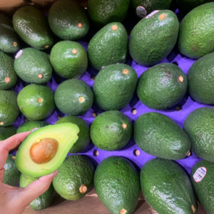 [매일신선몰] 항공직송 직수입 아보카도 과일 생 아보카도 avocado, 1개, 아보카도 대과 (220g내외) 10개입